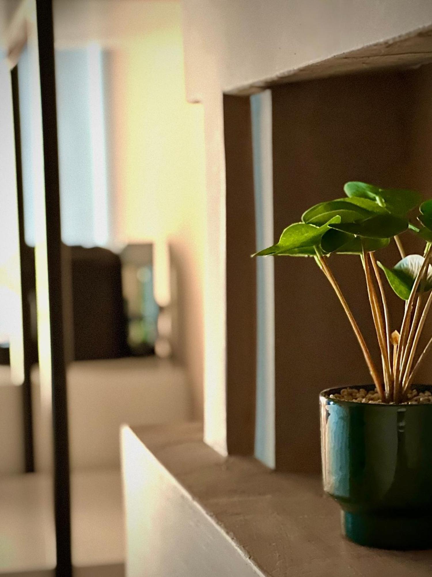 Rex Hotel Boutique 티라나 외부 사진